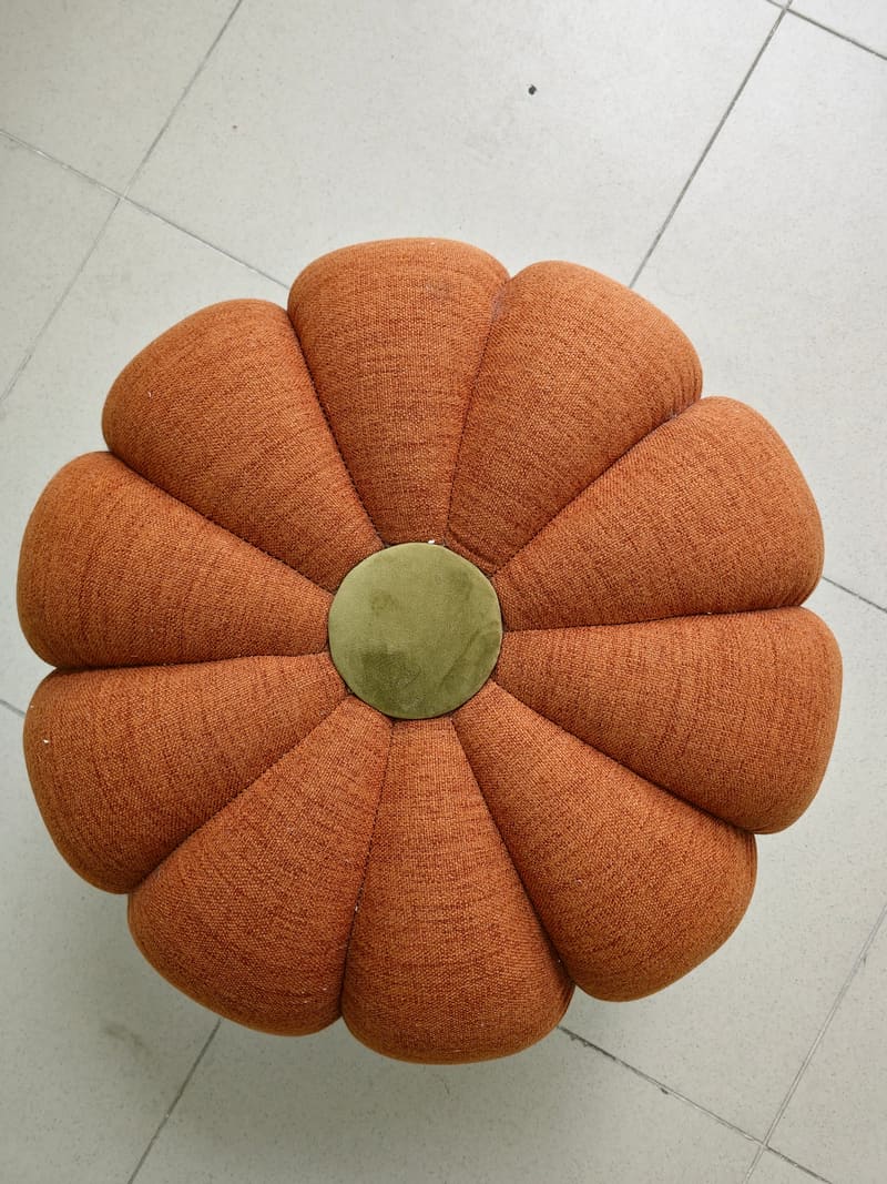 TÉO — foto 2